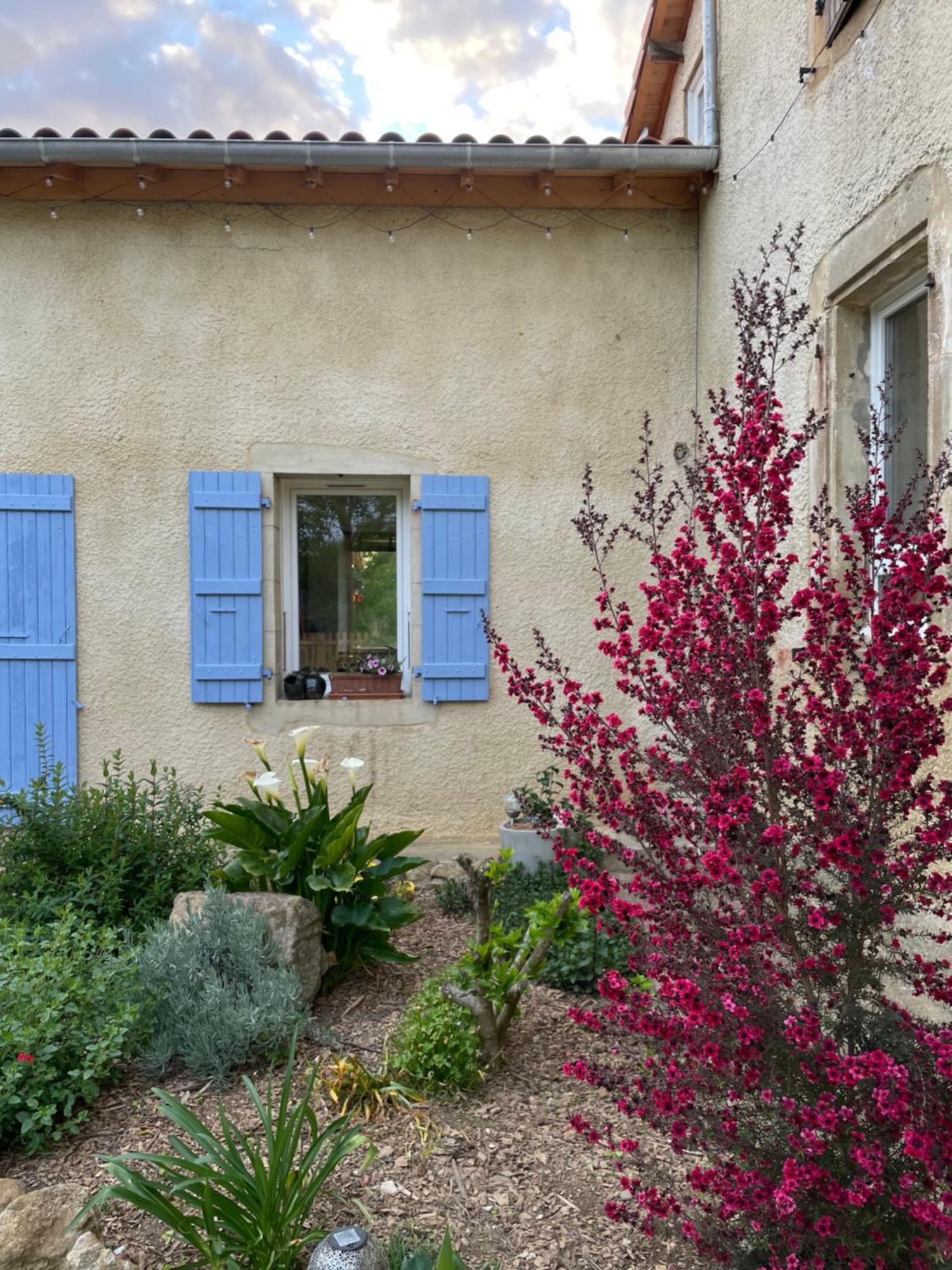 La Bastide Bed & Breakfast Armous-et-Cau ภายนอก รูปภาพ